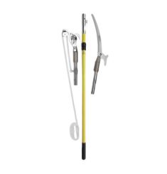 SÀO CẮT CÀNH HASTINGS 4142