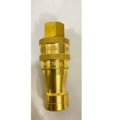 BỘ ĐẦU NỐI THỦY LỰC 1/4 INCH ECO 13MM 02SP