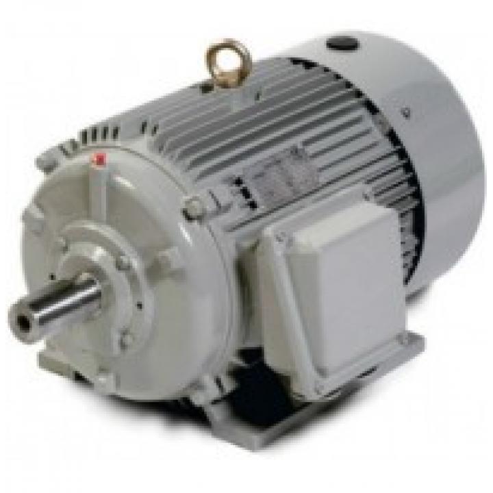 3KW MOTOR CHO MÁY RỬA XE LUTIAN 3KW