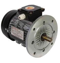 ĐỘNG CƠ ĐIỆN MẶT BÍCH HỒNG KÝ PFA-H & PFC-H