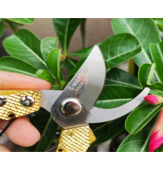 KÉO CẮT CÀNH VẢY CÁ CÁN VÀNG 175MM/7