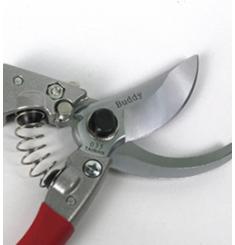 KÉO CẮT CÀNH BUDDY 035